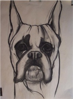 Drawing animal dog