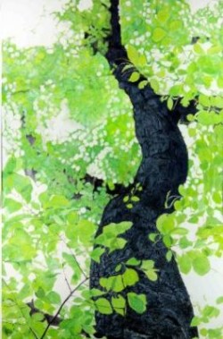 Mixed Media Wood, trees