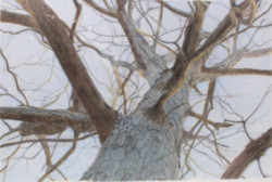 Leafless tree, mixed media