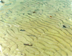 Painted Beach
