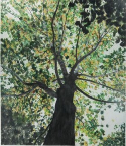 Mixed Media Wood, trees