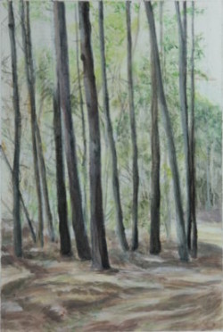 Painting trees
