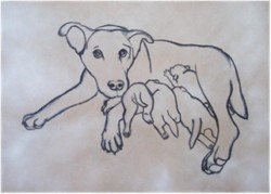 Drawing animal dog
