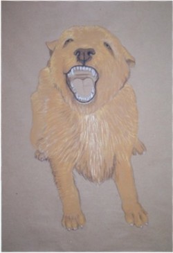 Drawing animal dog