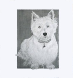 Drawing animal dog