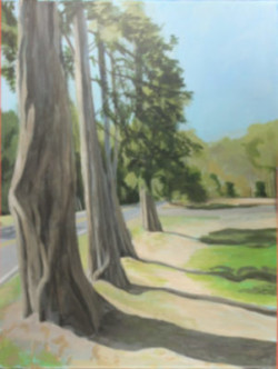 Painting trees