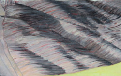 painted Landscape