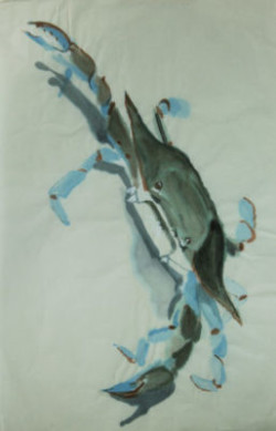 Painted Crab