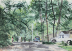 Painted wooded neighborhood