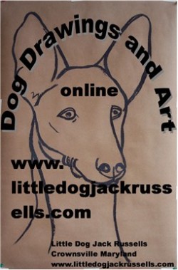 Poster for art