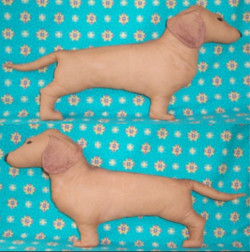 life-sized soft sculpture dogs