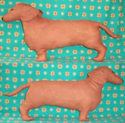 life-sized soft sculpture dogs