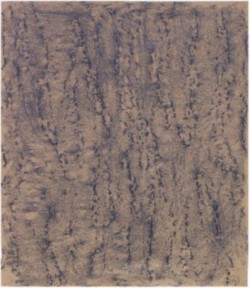 Rubbing tree bark