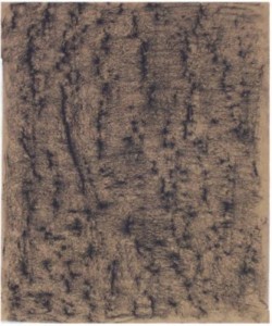 Rubbing tree bark