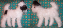 life-sized soft sculpture dogs