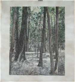 Mixed Media Wood, trees