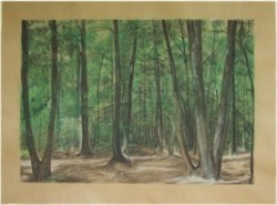 Mixed Media Wood, trees