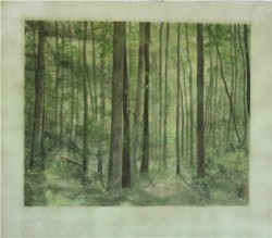 Mixed Media Wood, trees