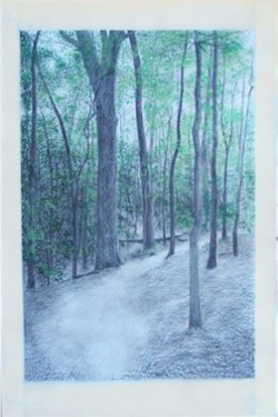 Mixed Media Wood, trees
