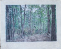 Mixed Media Wood, trees