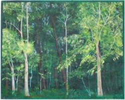 Mixed Media Wood, trees