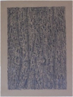 Rubbing tree bark