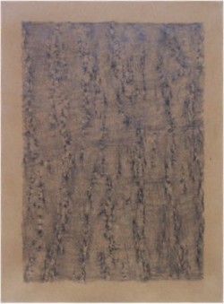 Bark Rubbing