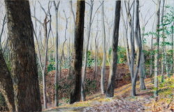 Mixed Media Wood, trees