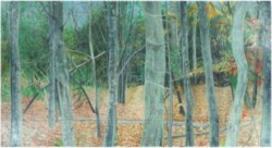 drawing woods/trees