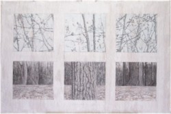Parts of trees, early spring drawing