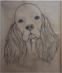 Drawing animal dog