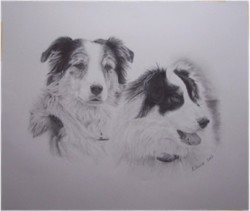 Drawing animal dog