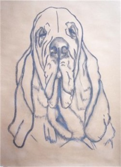Drawing animal dog
