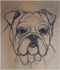 Drawing animal dog