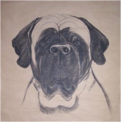 Drawing animal dog