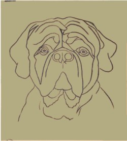 Drawing animal dog