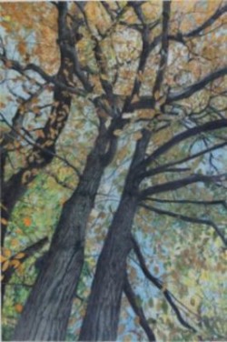 Mixed Media Wood, trees