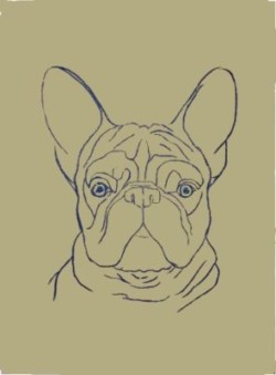 Drawing animal dog