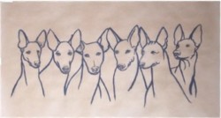Drawing animal dog
