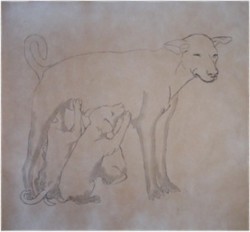 Drawing animal dog