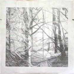 drawing trees