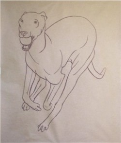 Drawing animal dog