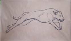 Drawing animal dog