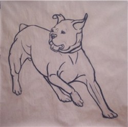 Drawing animal dog