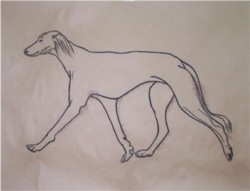 Drawing animal dog