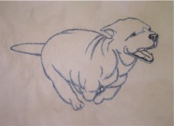 Drawing animal dog