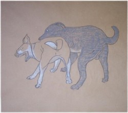 Drawing animal dog