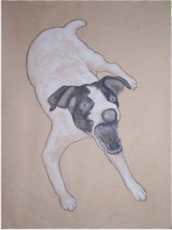 Drawing animal dog