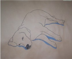 Drawing animal dog