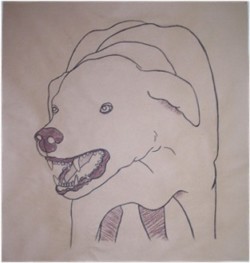 Drawing animal dog